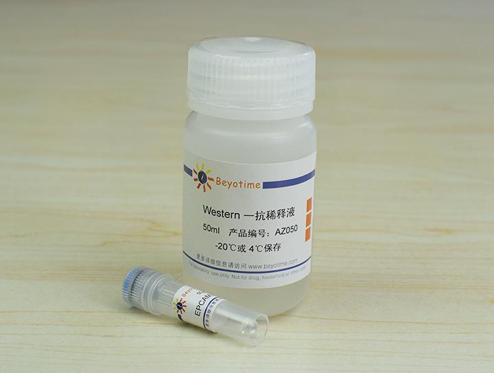 EPCAM Mouse Monoclonal Antibody